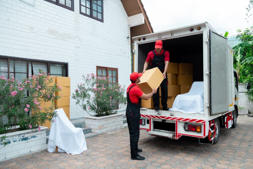 service
